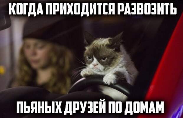Подборка автоприколов. Часть 201 Подборка автоприколов. Часть 201 автоприколы, приколы