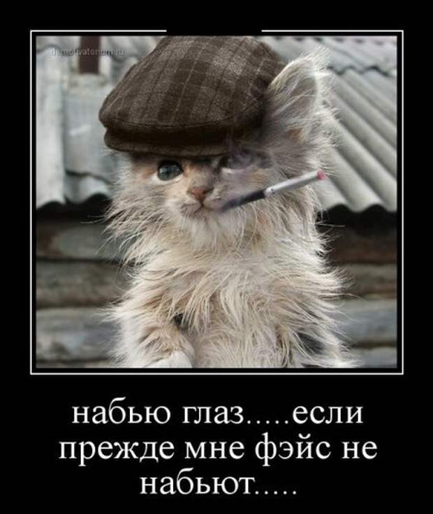 Демотиваторы (30 фото)