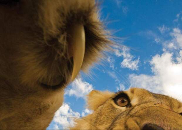 national-geographic-traveler-photo-contest-конец