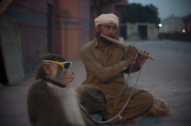 Кадры повседневной жизни в Пакистане пакистан, фото