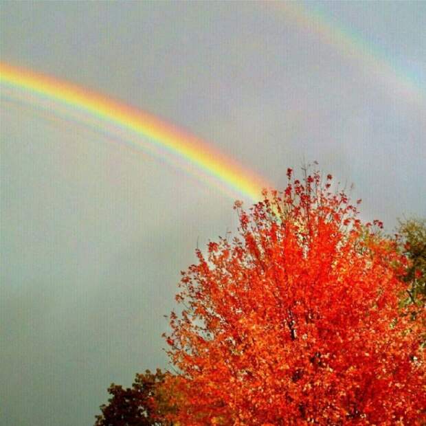 Красота природы на фотографиях
