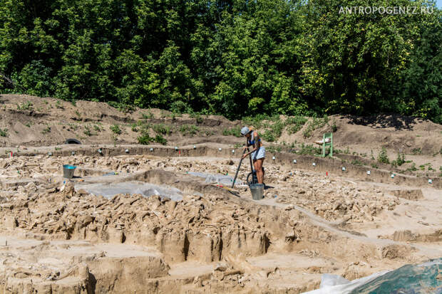 В Костёнках обнаружено новое жилище из костей мамонта