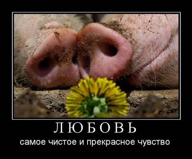 11 демотиваторов дня от 28 июля