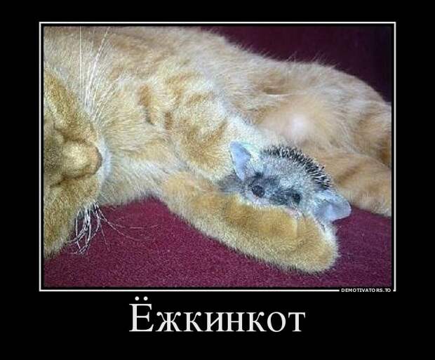 Демотиваторы  демотиваторы, прикол, смех, юмор