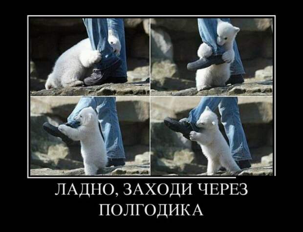 Демотиваторы (30 фото)