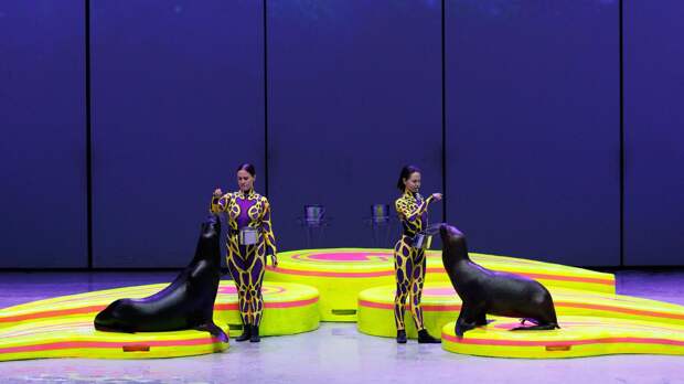 Фантазийное шоу «Море снов» возвращается на сцену «Москвариума»