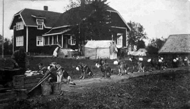 Подборка редких фотографий со всего мира. Часть 8 (74 фото) Подборка редких фотографий со всего мира. Часть 8 (74 фото)