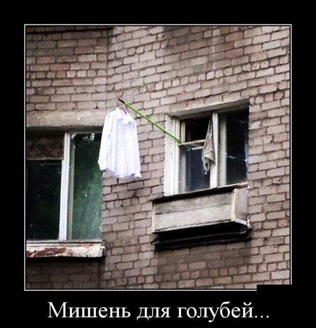 Демотиваторы (30 фото)