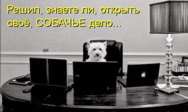 04d30f93a50abcd643558d851aa_prev