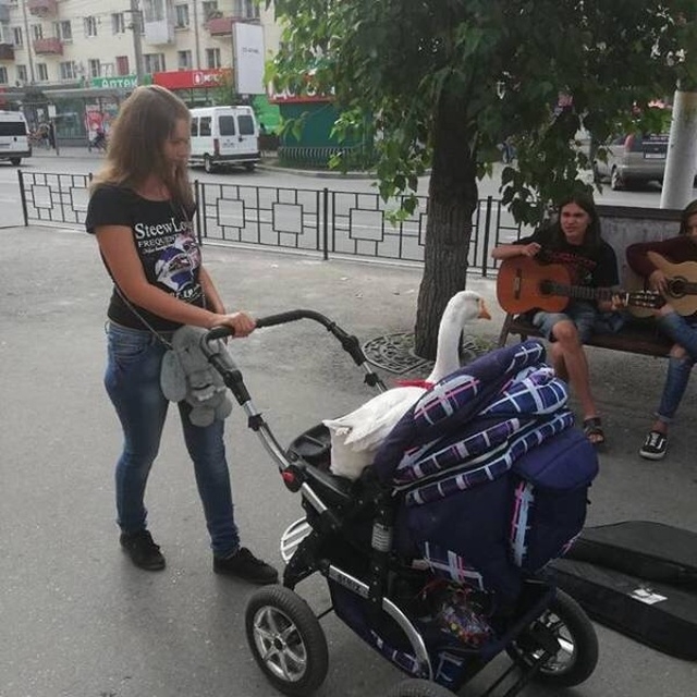 Фото с просторов нашей бескрайней