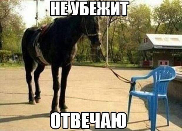 Смехопанорама Писца. Жгучая серия!