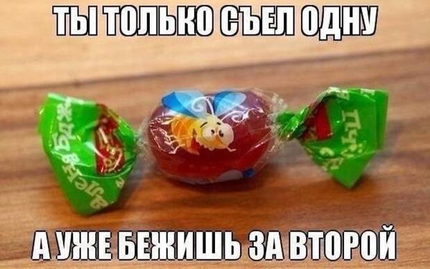 Смешные картинки с подписями катинки, прикол, юмор