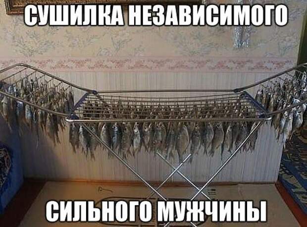 Смешные картинки с надписями  прикол, юмор