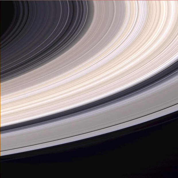 Кольца Сатурна в их естественном свете, снятые орбитальной станцией Кассини. Фото: NASA/JPL/Space Science Institute