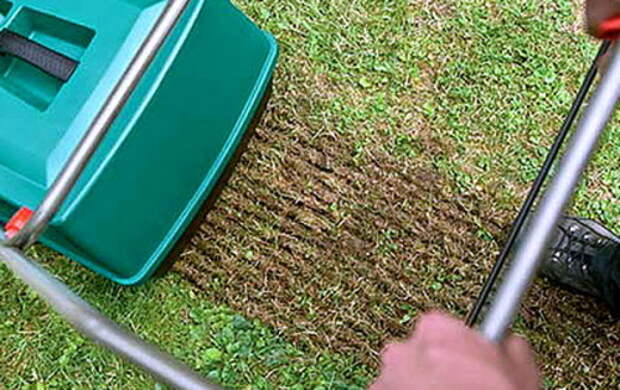 Подготавливаем участок