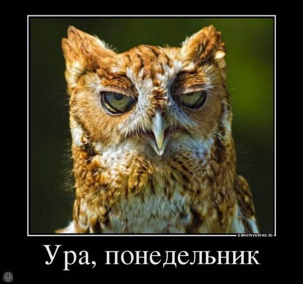 Ура, воскресенье! 34