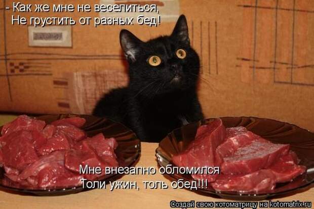 Котоматрицы великолепные, каждая с кусочком позитива и хорошего настроения!!!