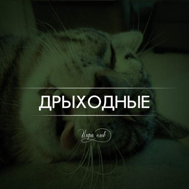 Игра слов Игра слов игра слов, юмор
