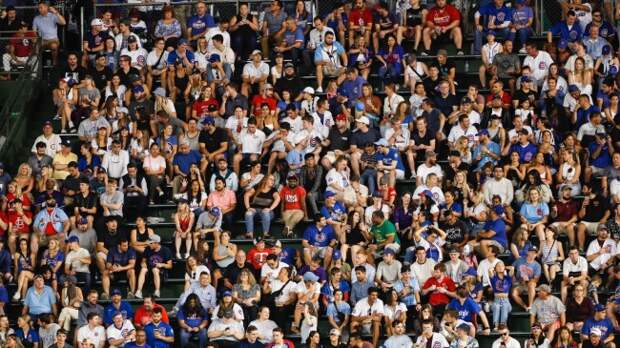 Wrigley Field Bleacher Bums