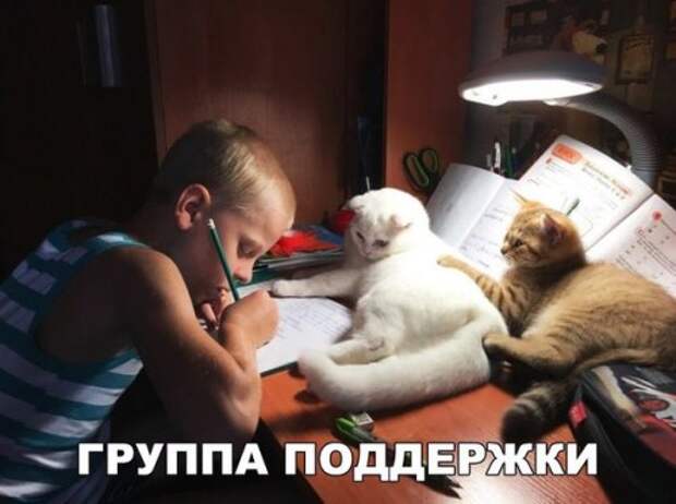 Прикольные фотомемы