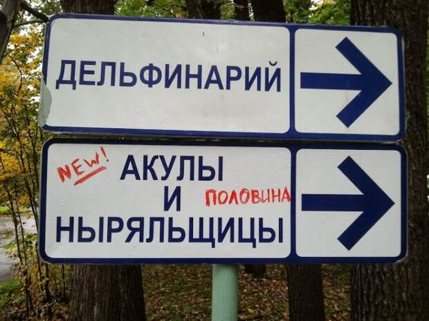 Забавные надписи и объявления Забавные надписи и объявления