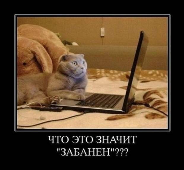 Демотиваторы от которых у тебя поднимется не только настроение. И плевать, что это неправда…
