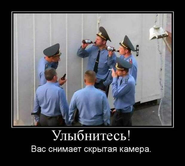 Демотиваторы (30 фото)