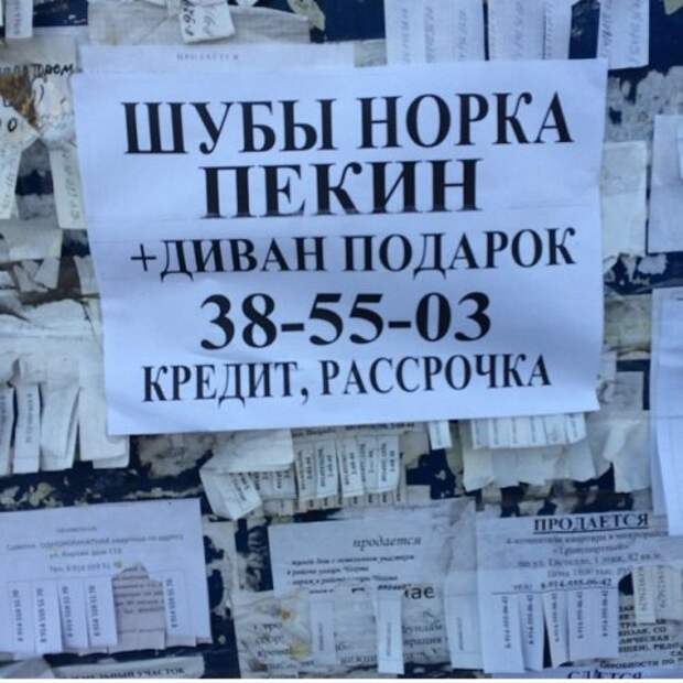 Смешные объявления и вывески (12 фото)