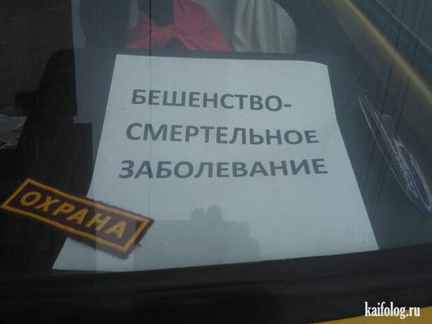 Прикольные противоугонки (50 фото) Прикольные противоугонки (50 фото)