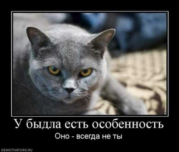 Cвежие демотиваторы