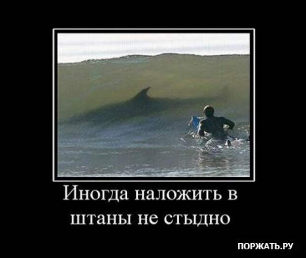 Демативаторы (21 фото)