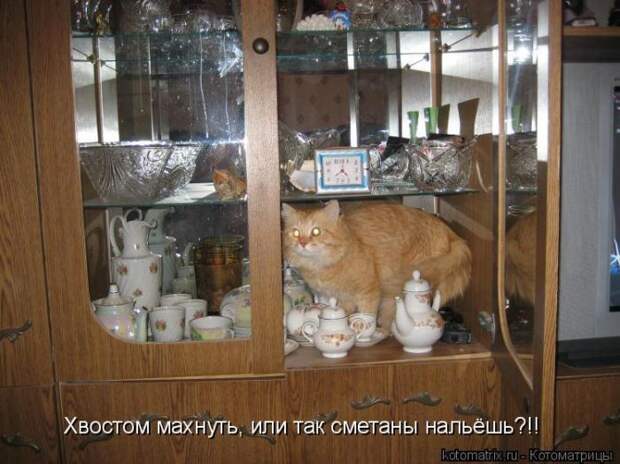 Мысли вслух :)