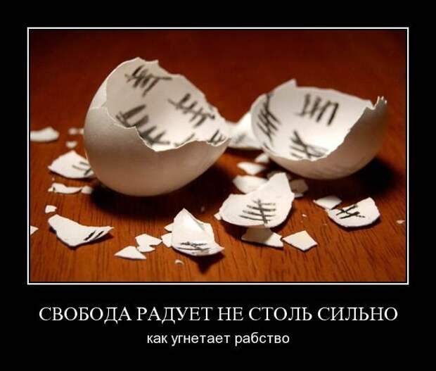 Демотиваторы (133 картинки)