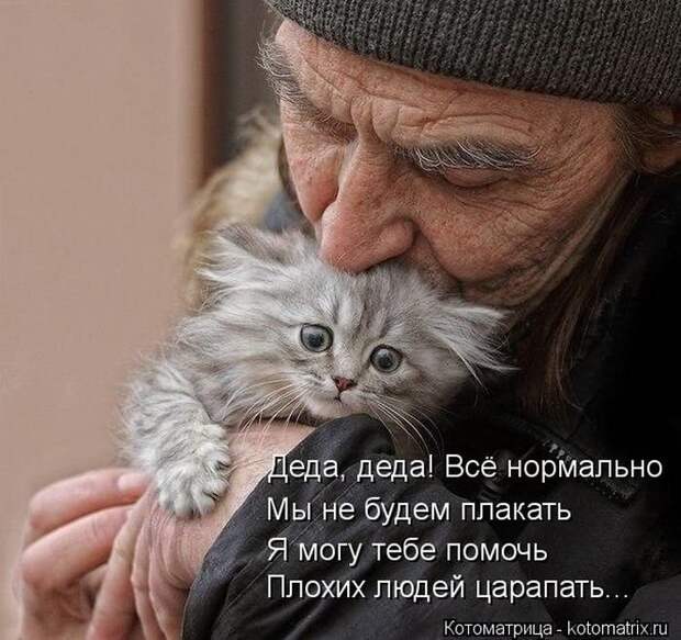 Новые котоматрицы за неделю