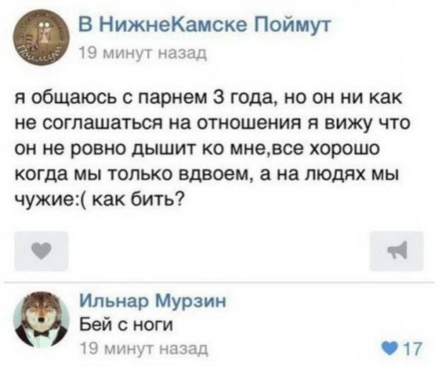 Фото приколы которые веселят.