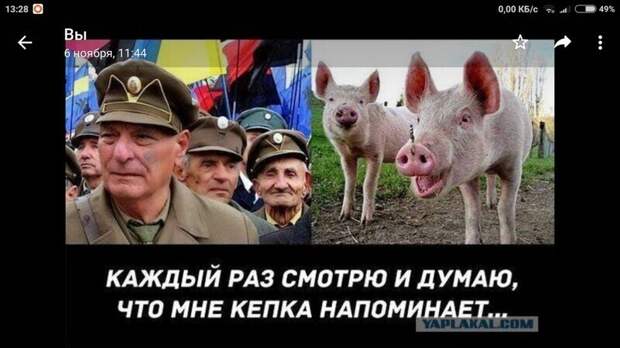 Политические комментарии из инета