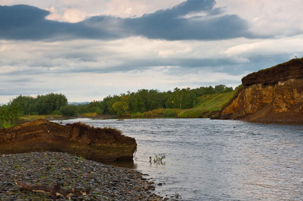 Фотоотчёт с Камчатки, сплав по рекам  камчатка, медведи, реки, сплав, фото