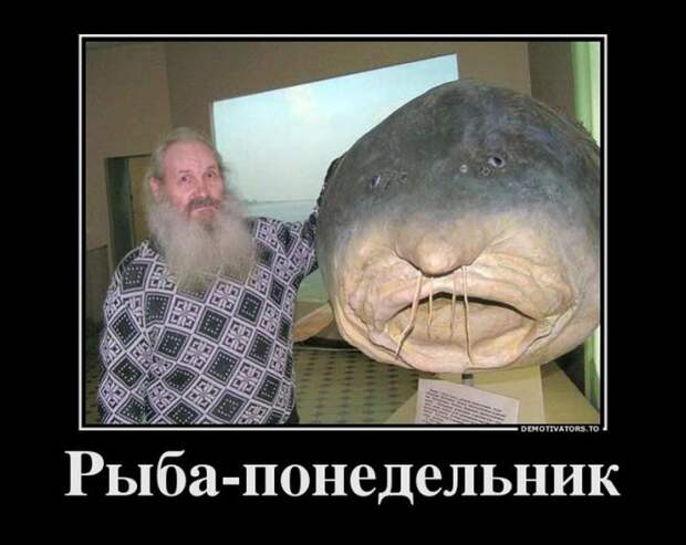 Демотиваторы демотиваторы, картинки, приколы