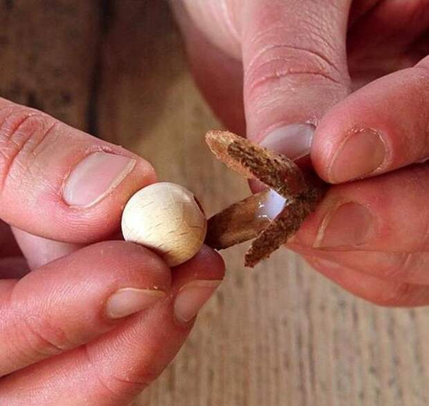 В скорлупу букового ореха капните немного клея, вставьте деревянную бусину и прижмите