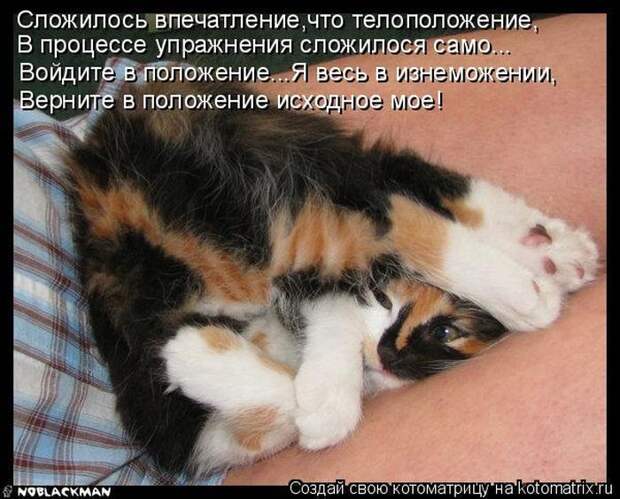 Мысли вслух :)