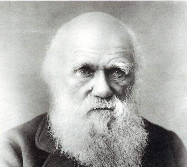 7. Дарвин отрекся от своей теории заблуждение, люди, наука, эволюция
