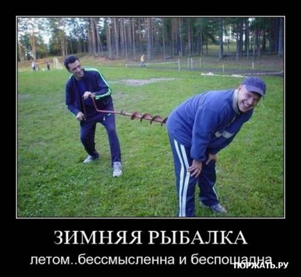 Демотивируемся только прикольными фото сюжетами и надписями.