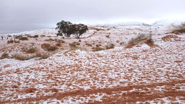 Седьмой случай за 40 лет: в Сахаре выпал снег