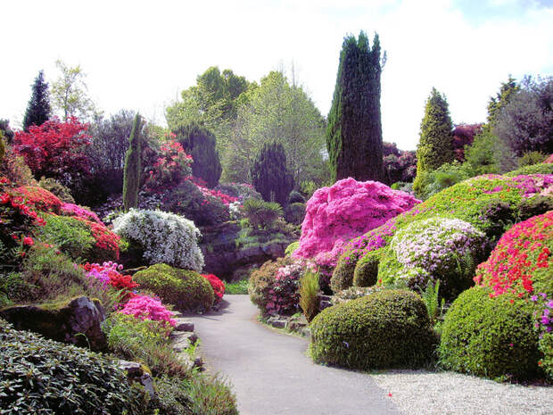 landscape-design-plans-rock-flower-garden-Margaret-Anne (700x525, 350Kb)