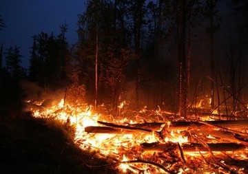 Учёные: планеты гиганты и водород стали причиной пожаров в Сибири Учёные: планеты гиганты и водород стали причиной пожаров в Сибири