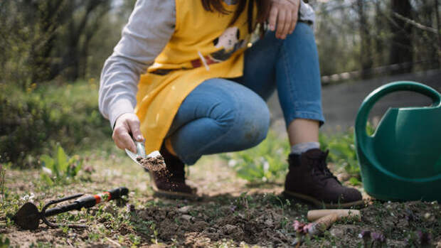 Бросьте лопату: 7 привычных работ в огороде весной, которые только губят урожай и здоровье