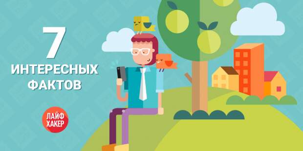 7 интересных фактов