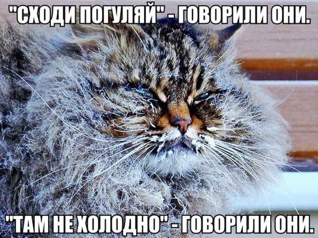 ПОДБОРКА ФОТОПРИКОЛОВ № 368