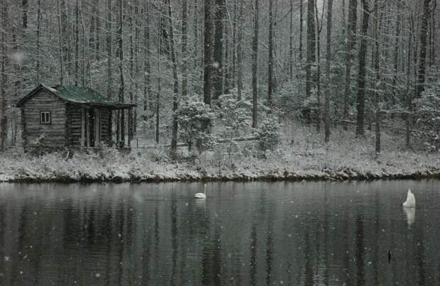 Фотоподборка за 26.02.2014 