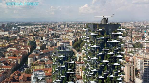 First Building Covered In Evergreen Trees